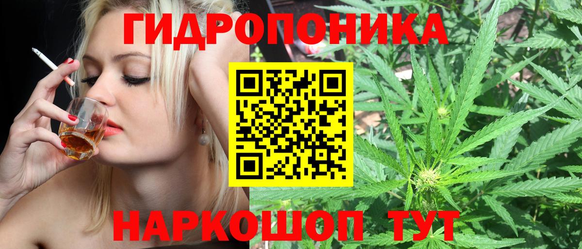 Великие Луки  Каннабис SATIVA & INDICA  Бошки марихуана индика  Вход с VPN  Марихуана White Widow  Бошки марихуана MAZAR 